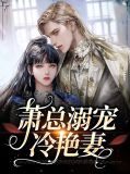 萧总溺宠冷艳妻沈楠溪萧行之