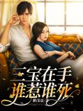 三宝在手,谁惹谁死安宁