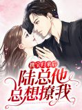 携宝归来后,陆总他总想撩我莫晓蝶陆晨旭