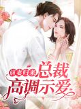 前妻归来总裁高调示爱叶晚舒陆遇尘