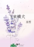 飞来横犬