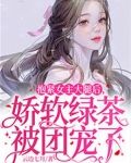 抱紧女主大腿后，娇软绿茶被团宠了