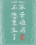 笨蛋通房不想重生了