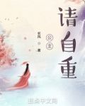 公主,请自重!