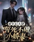 重成后大佬誓死不做小娇妻