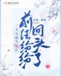 大小姐失忆后,前任纷纷回头了