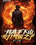 我高手下山专打气运之子