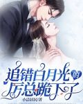 追错白月光的厉总跪下了