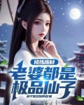 修炼废材,老婆都是极品仙子