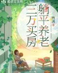 三万买房，小镇养老