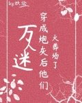 万人迷穿为炮灰后他们火葬场了(快穿)