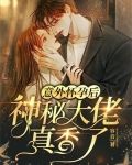 意外怀孕后,神秘大佬真香了