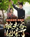 农门小可怜,出嫁后被夫家团宠了