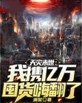 天灾末世:我携亿万囤货嗨翻了
