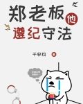 郑老板他遵纪守法