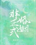 非正式婚姻