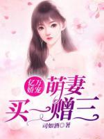 亿万娇宠:萌妻买一赠三
