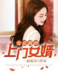 女总裁的上门女婿(又名超级上门女婿)