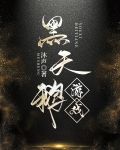 黑天鹅游戏