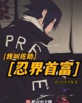 我叫佐助,从火影首富制霸诸天