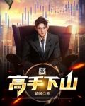 我,高手下山