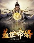 盖世帝婿