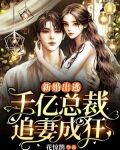 新婚出逃:千亿总裁追妻成狂