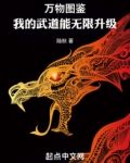 万物图鉴:我的武道能无限升级