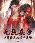 无敌县令：从替哥哥入洞房开始