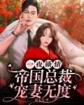 一夜锁情:帝国总裁宠妻无度