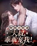 财阀小娇妻:大叔,乖乖宠我!