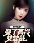 退婚后,娶了高冷女总裁