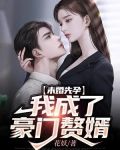 未婚先孕,我成了豪门赘婿