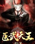 医武天王-老九
