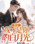 裴总,我才是你的白月光