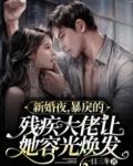 新婚夜,暴戾的残疾大佬让她容光焕发