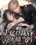 闪婚千亿总裁后,竟无痛当妈