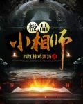 极品风水师