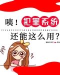 咦!犯罪系统还能这么用?
