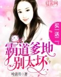 买一送二:霸道爹地别太坏