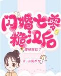 闪婚七零糙汉后,腰被宠软了