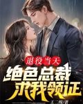 退役当天,绝色总裁求我领证