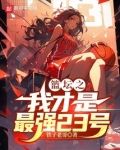 篮坛之我才是最强23号