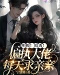 明撩!暗诱!偏执大佬每天求亲亲