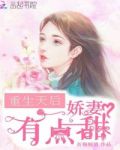 重生天后:娇妻,有点甜