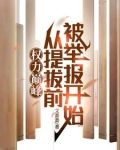 权力巅峰:从提拔前被举报开始