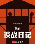 我的谍战日记