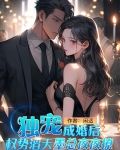 独宠,成婚后权势滔天墨总夜夜撩