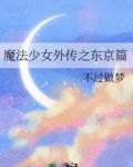 魔法少女外传之东京篇