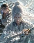 命运双生：长夜将明